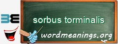 WordMeaning blackboard for sorbus torminalis